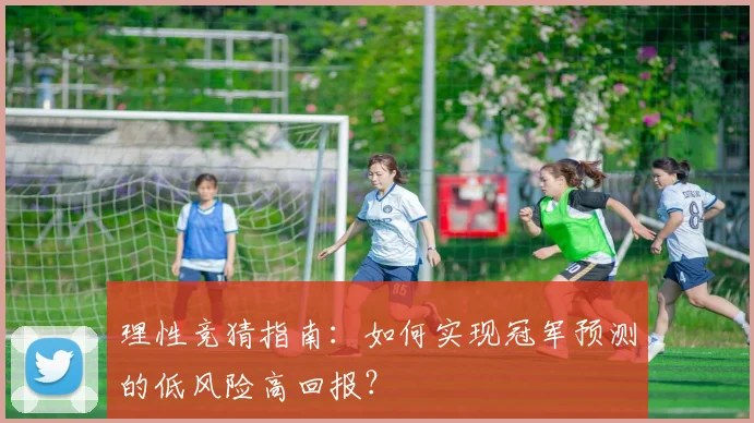 理性竞猜指南：如何实现冠军预测的低风险高回报？