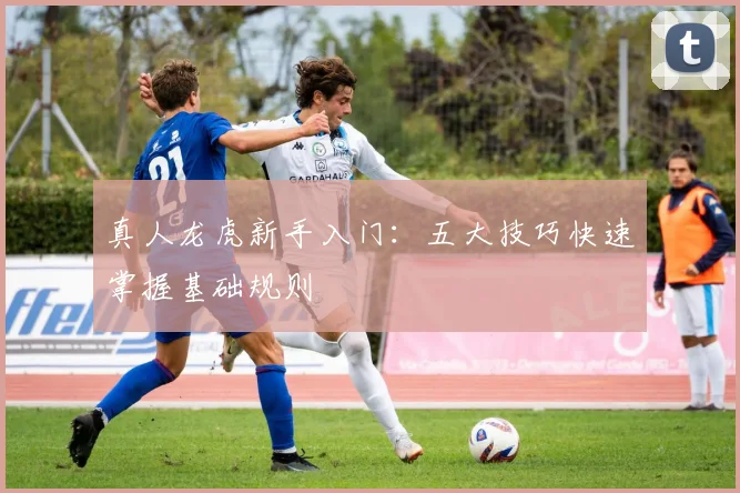 真人龙虎新手入门：五大技巧快速掌握基础规则