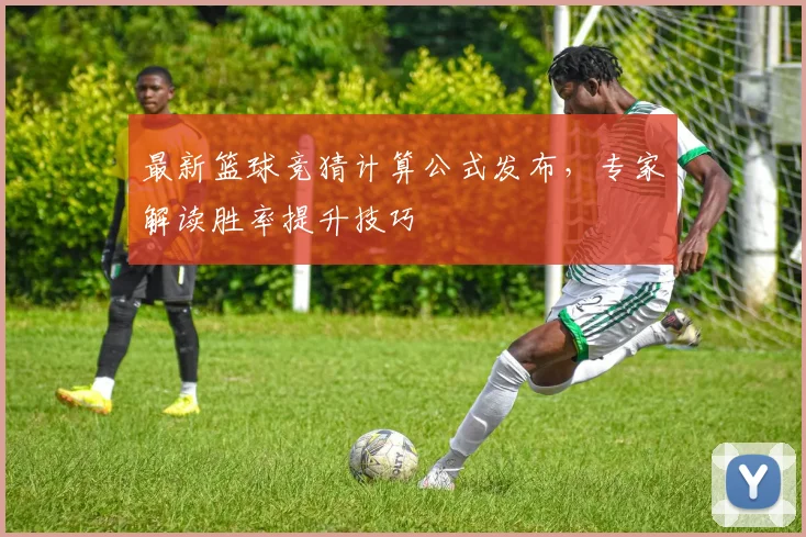 最新篮球竞猜计算公式发布，专家解读胜率提升技巧