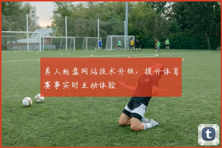 真人轮盘网站技术升级，提升体育赛事实时互动体验