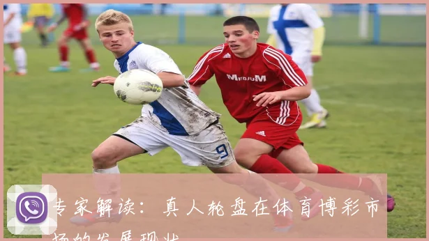 专家解读：真人轮盘在体育博彩市场的发展现状