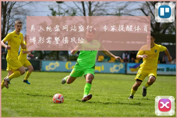 真人轮盘网站盛行，专家提醒体育博彩需警惕风险